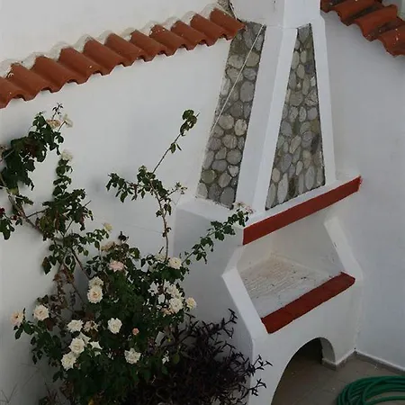 Teozenia Апартаменты *