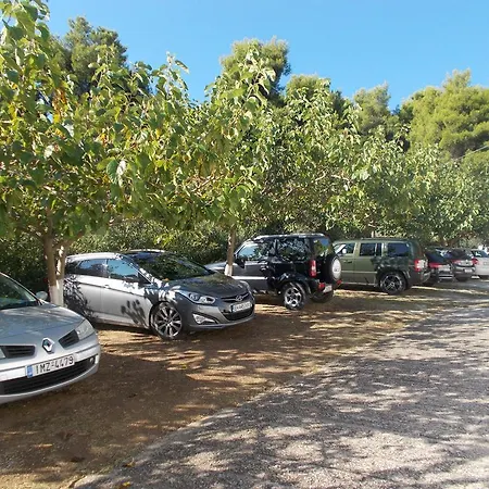 Apartament Teozenia
